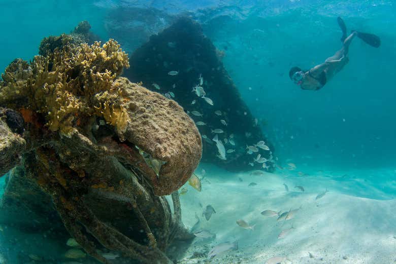 Snorkel in Isla Mujeres from Costa Mujeres Book at