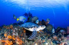 Bautismo de buceo en Cozumel