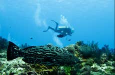 Buceo en Cozumel