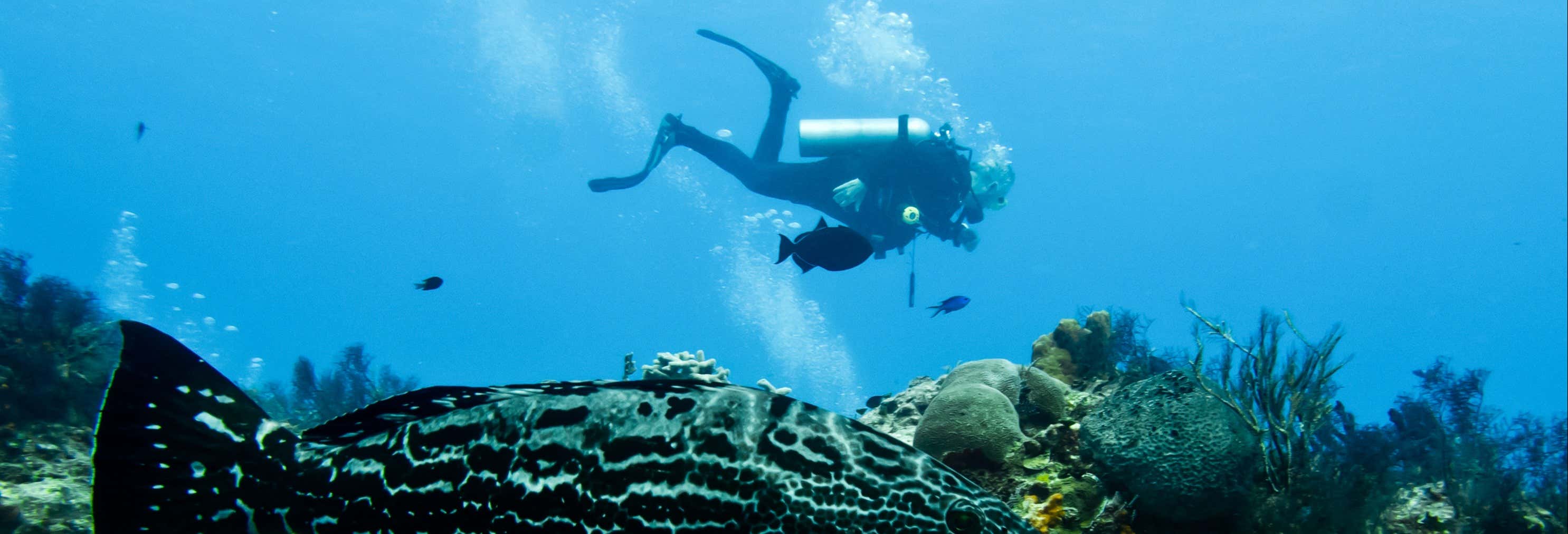 Mergulho em Cozumel
