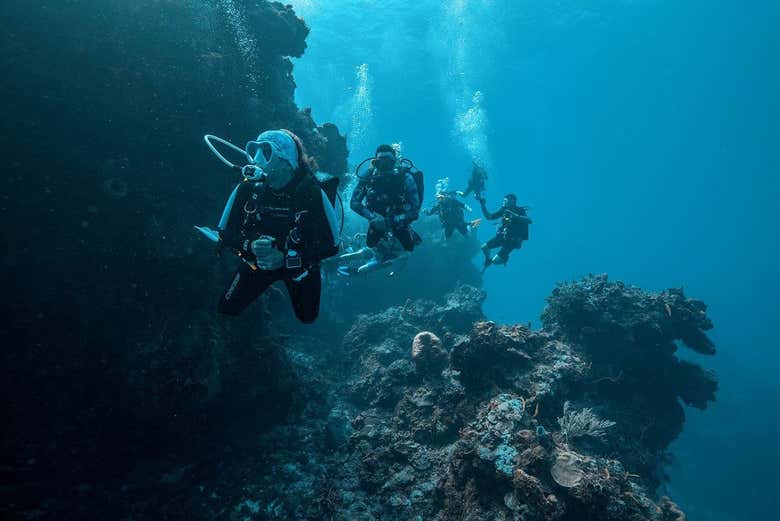 Varios amigos buceando en Cozumel