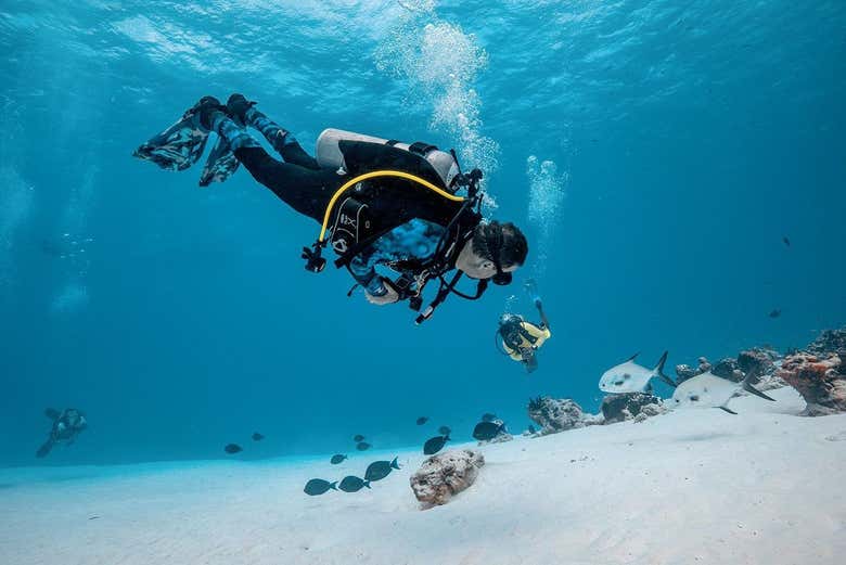 Disfrutando del bautismo de buceo en Cozumel