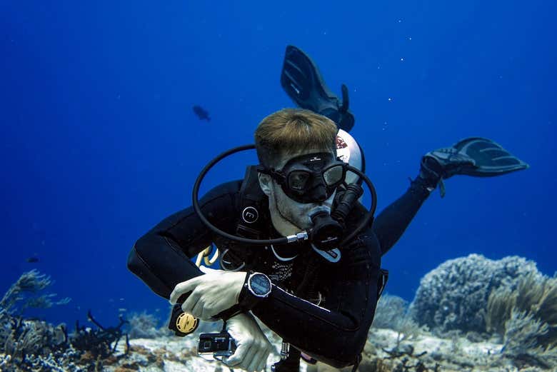 Go on a night diving adventure