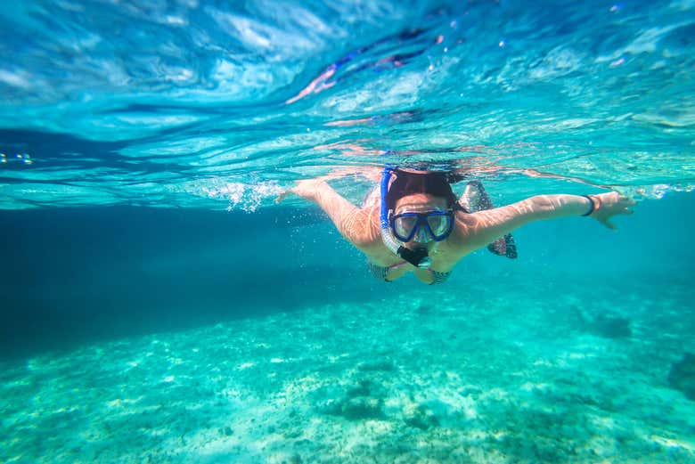 Snorkel en Cozumel