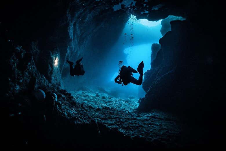 ¡Será una experiencia inolvidable!