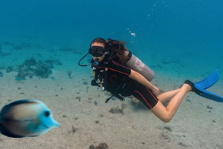 Buceando junto a peces de colores