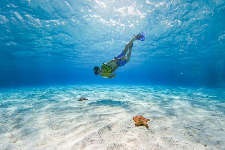 Haciendo snorkel en Cozumel