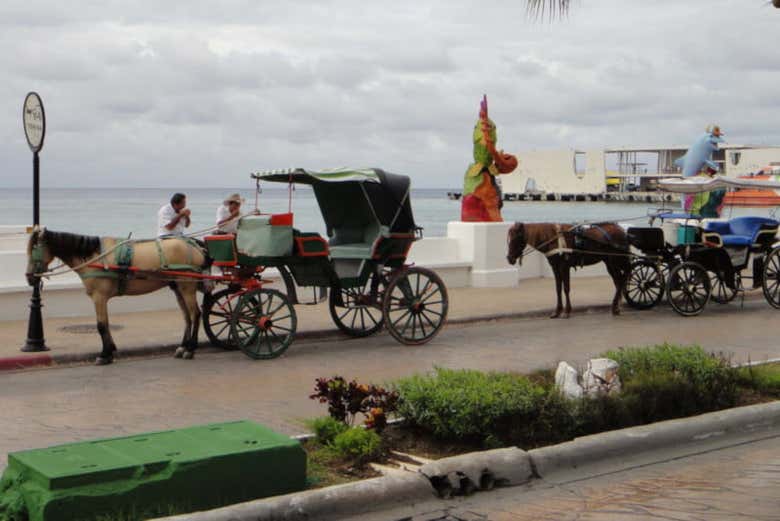 Charretes de cavalo típicas de Cozumel