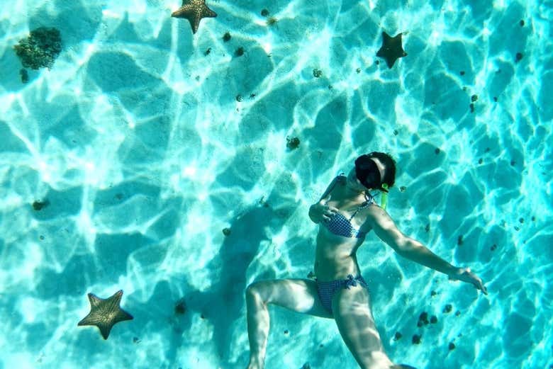 Bajo las aguas cristalinas de Cozumel
