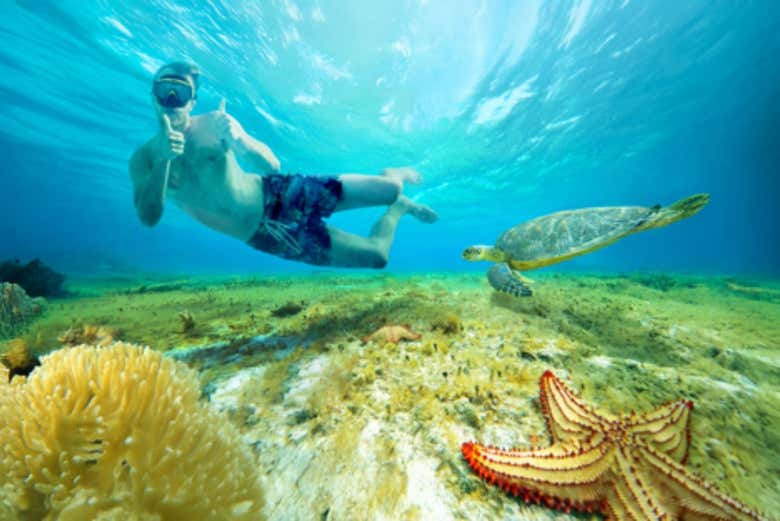 Disfrutando de la actividad de snorkel