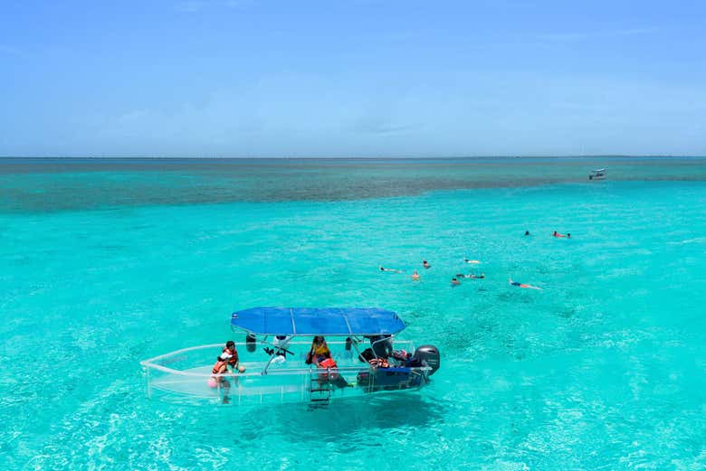 Podréis realizar diferentes actividades en la playa