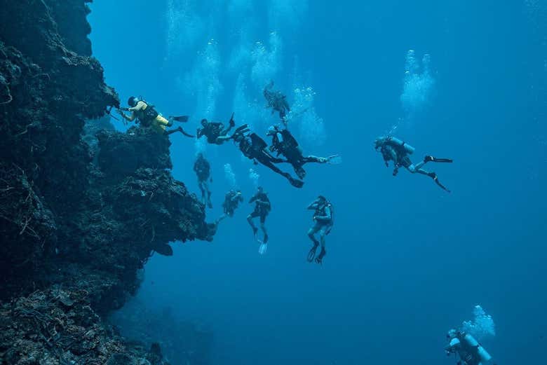 Sumergiéndoos en las profundidades del mar Caribe