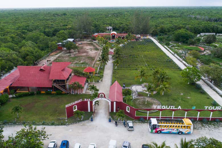 Chegando ao museu da Tequila a bordo do ônibus panorâmico