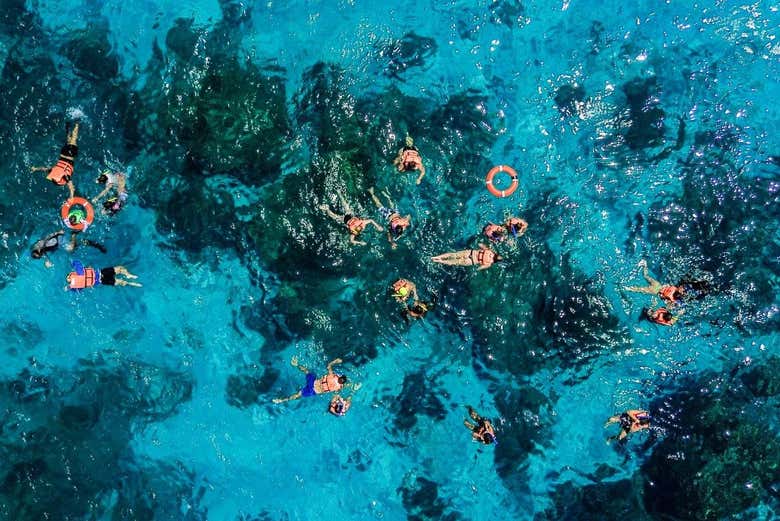 Swin in crystalline waters