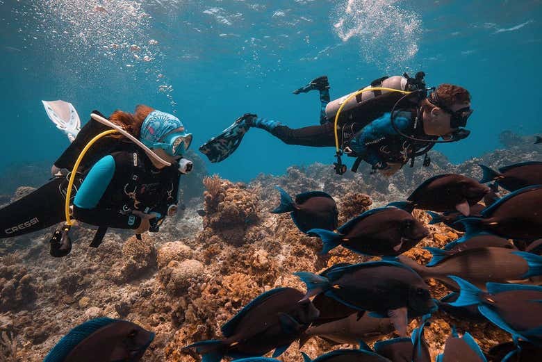 Pareja buceando en el fondo marino de Cozumel