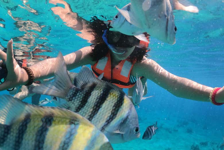 Haciendo snorkel en Cozumel