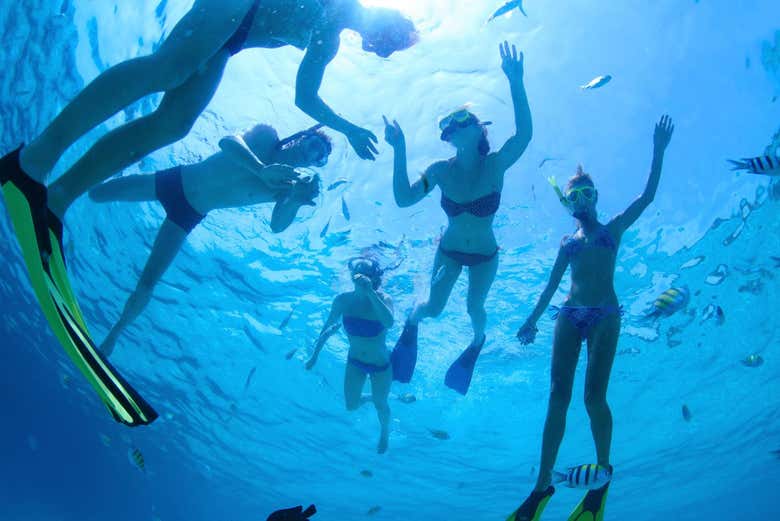 Snorkel en Cozumel