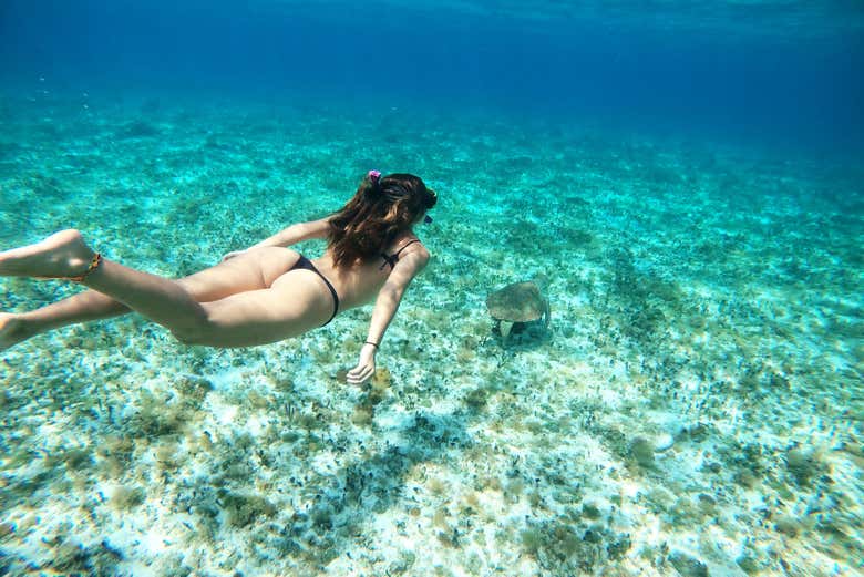 Practicando snorkel en el santuario de Tortugas