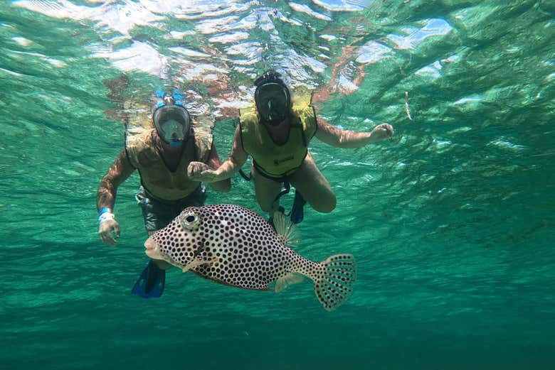 Faremos uma parada para praticar snorkel