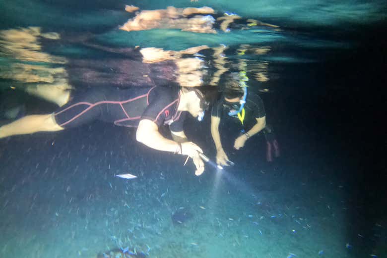 Nuoterete sotto le stelle!