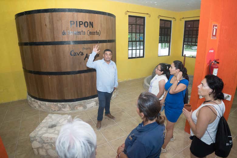 Escutando as explicações do guia