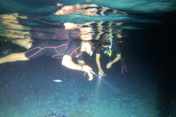 Snorkeling serale a Cozumel