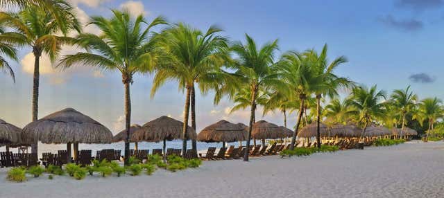 Tour de bares por Cozumel