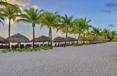 Tour de bares por Cozumel