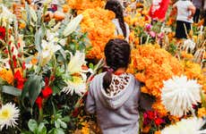 Tour del Día de Muertos por Cozumel
