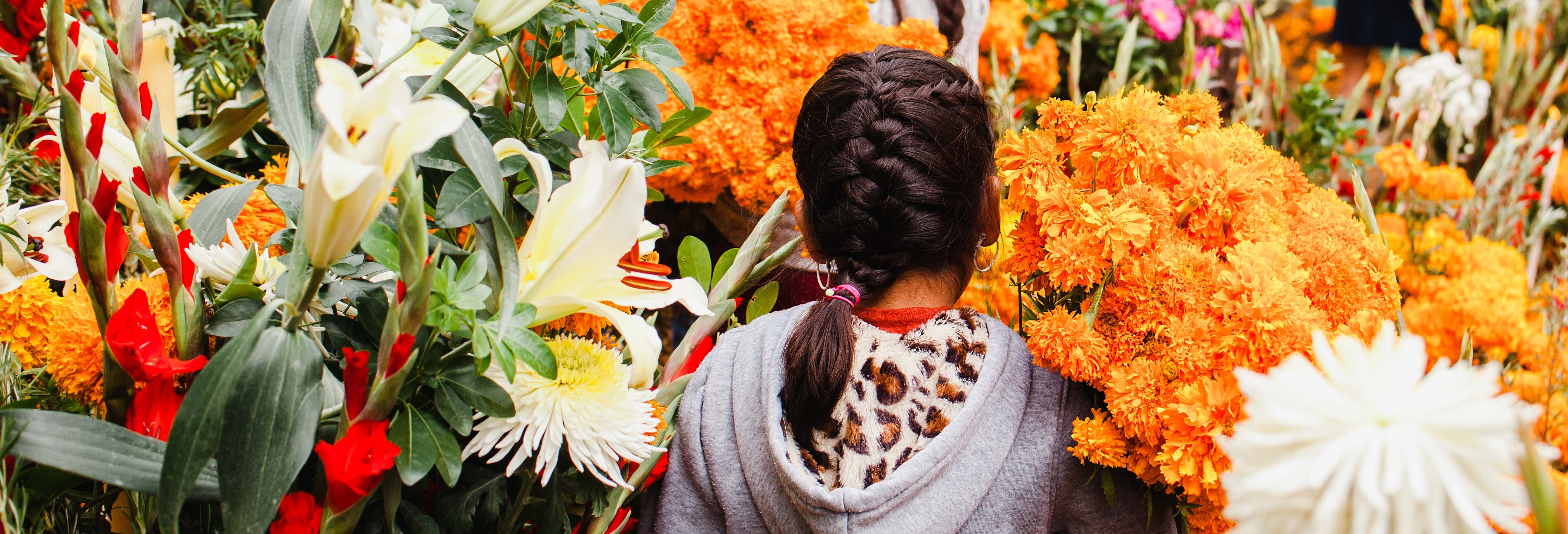 Visitas guiadas e free tours em Cozumel