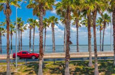 Tour di Cozumel in Mustang