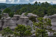 Excursión al Parque Natural Mexiquillo