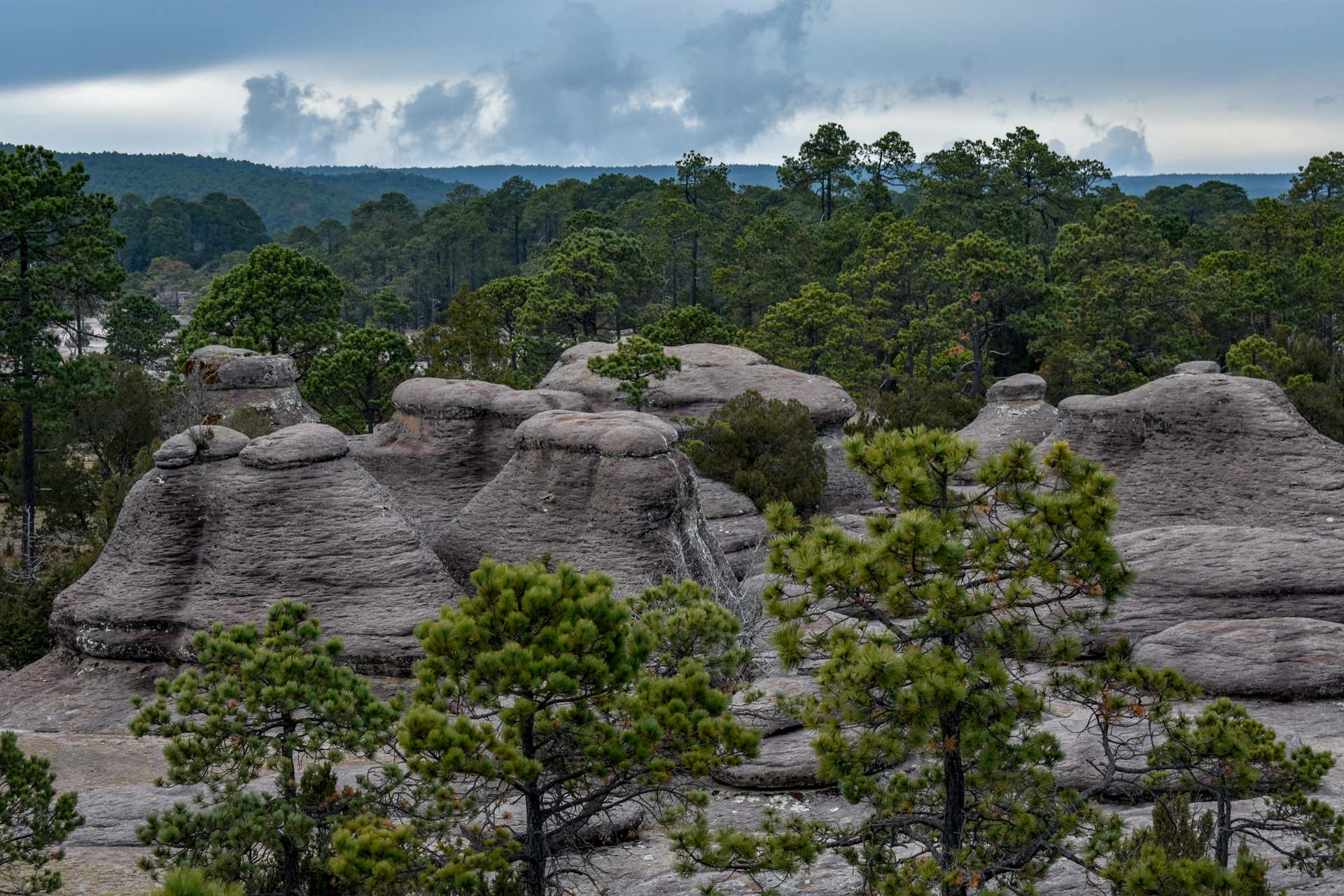 Excursión al Parque Natural Mexiquillo desde Durango