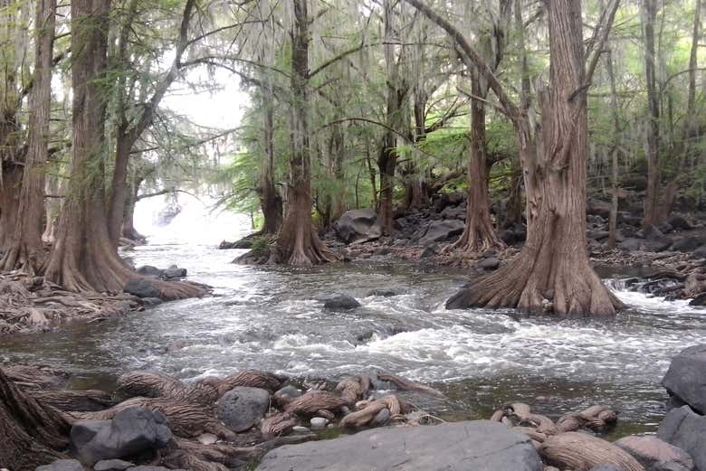 Conociendo los parajes naturales de Nombre de Dios
