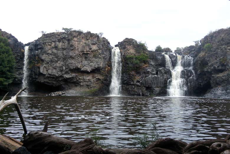 Entorno natural del estado de Durango