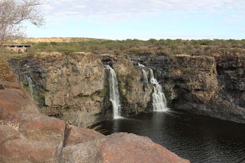 Sierra de Órganos