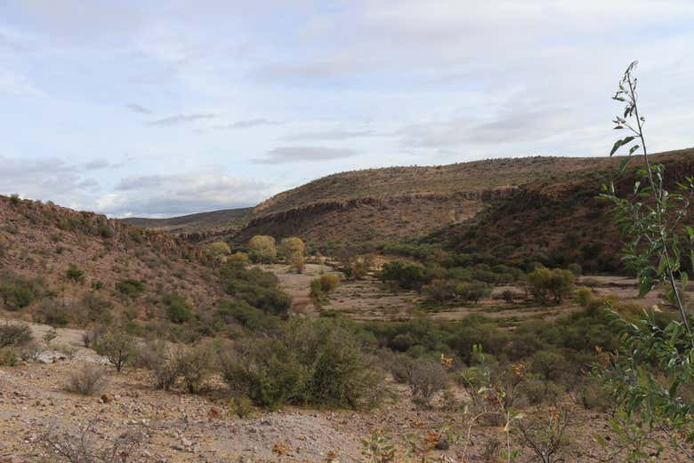 Alrededores de San Juan del Río