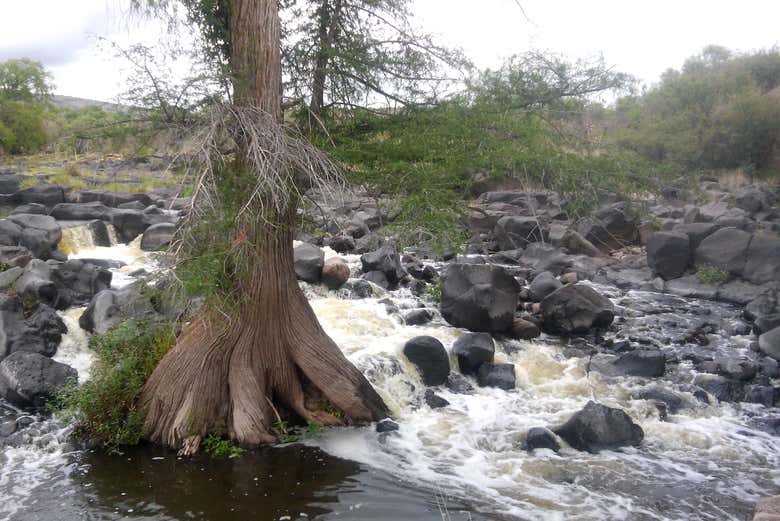 Arroyos a las afueras de Nombre de Dios