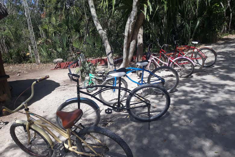 Vous pourrez utiliser les vélos