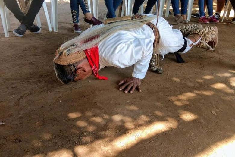 Visite d'une communauté indigène Mayos-Yoremes