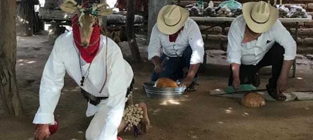 Visita a una comunidad indígena de mayos-yoremes