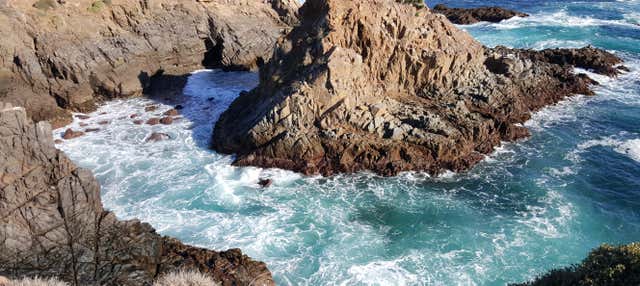 Excursión a La Bufadora