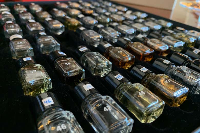 Variedades de aceite de oliva 