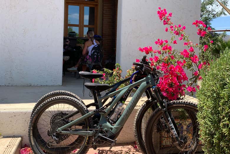 Bicicletas aparcadas en el exterior de la bodega