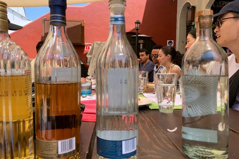 Botellas de tequila y mezcal