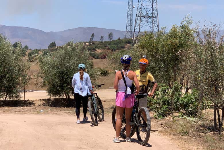 Conociendo en bici el Valle de Guadalupe