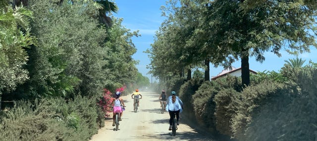 Tour en bicicleta por los viñedos del Valle de Guadalupe
