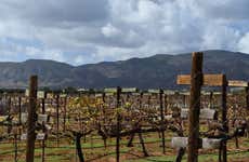 Tour del vino y el queso por el Valle de Guadalupe