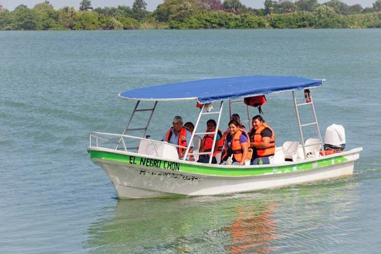 Lancha para la actividad
