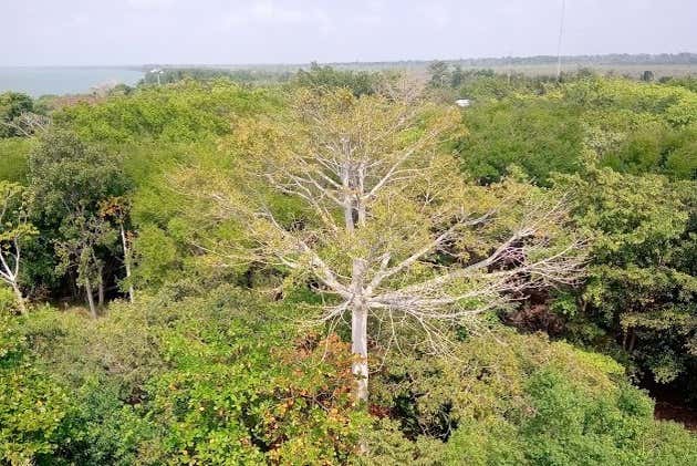 Reserva de la Biosfera Pantanos de Centla